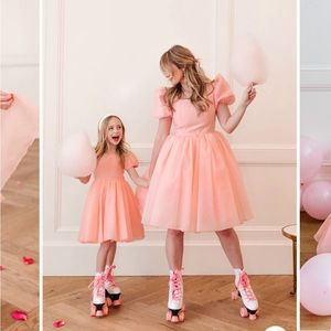 Ivy City Cupcake Dress NWT never worn 3X